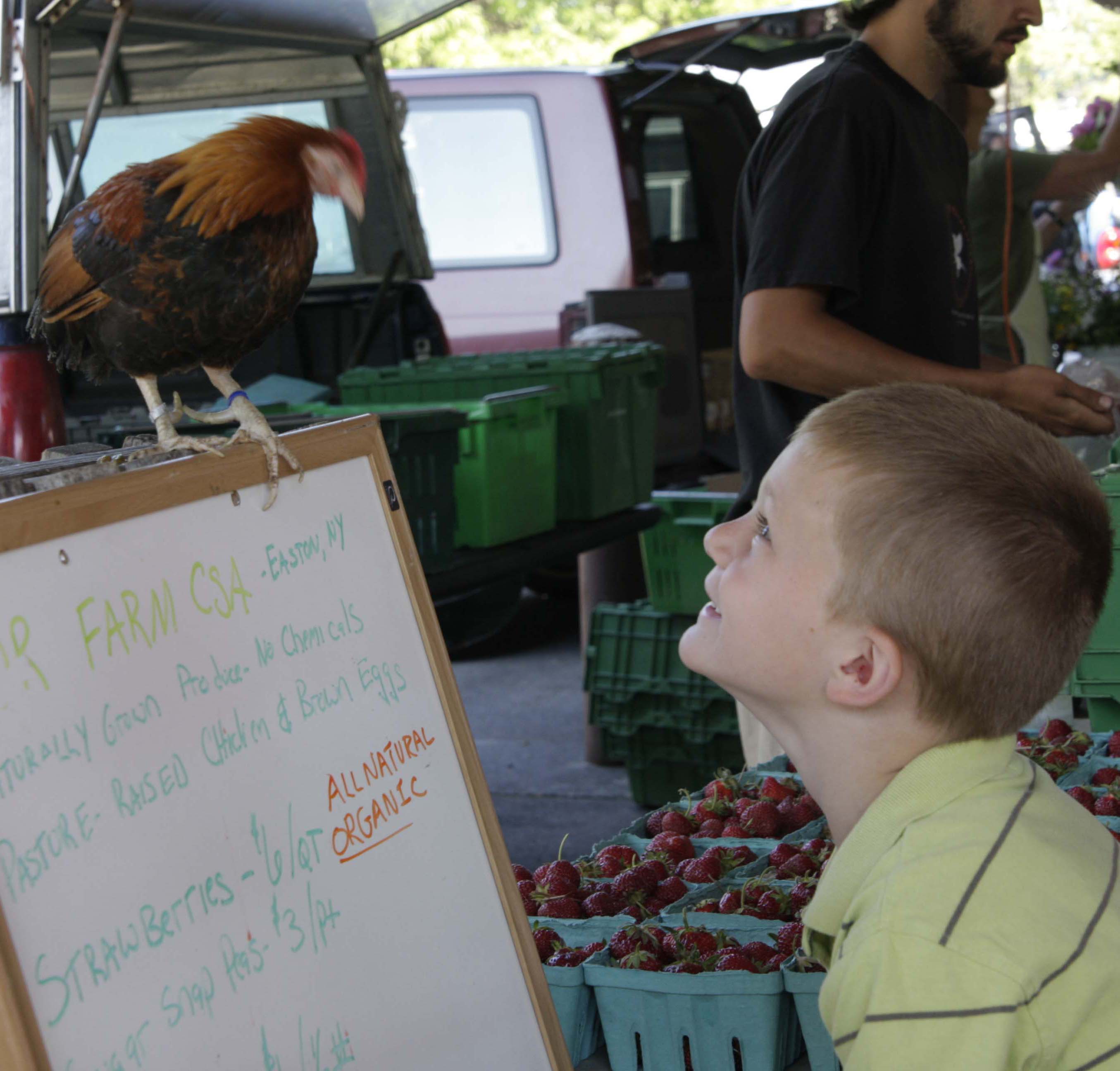 Thumbnail image for boy with rooster.jpg