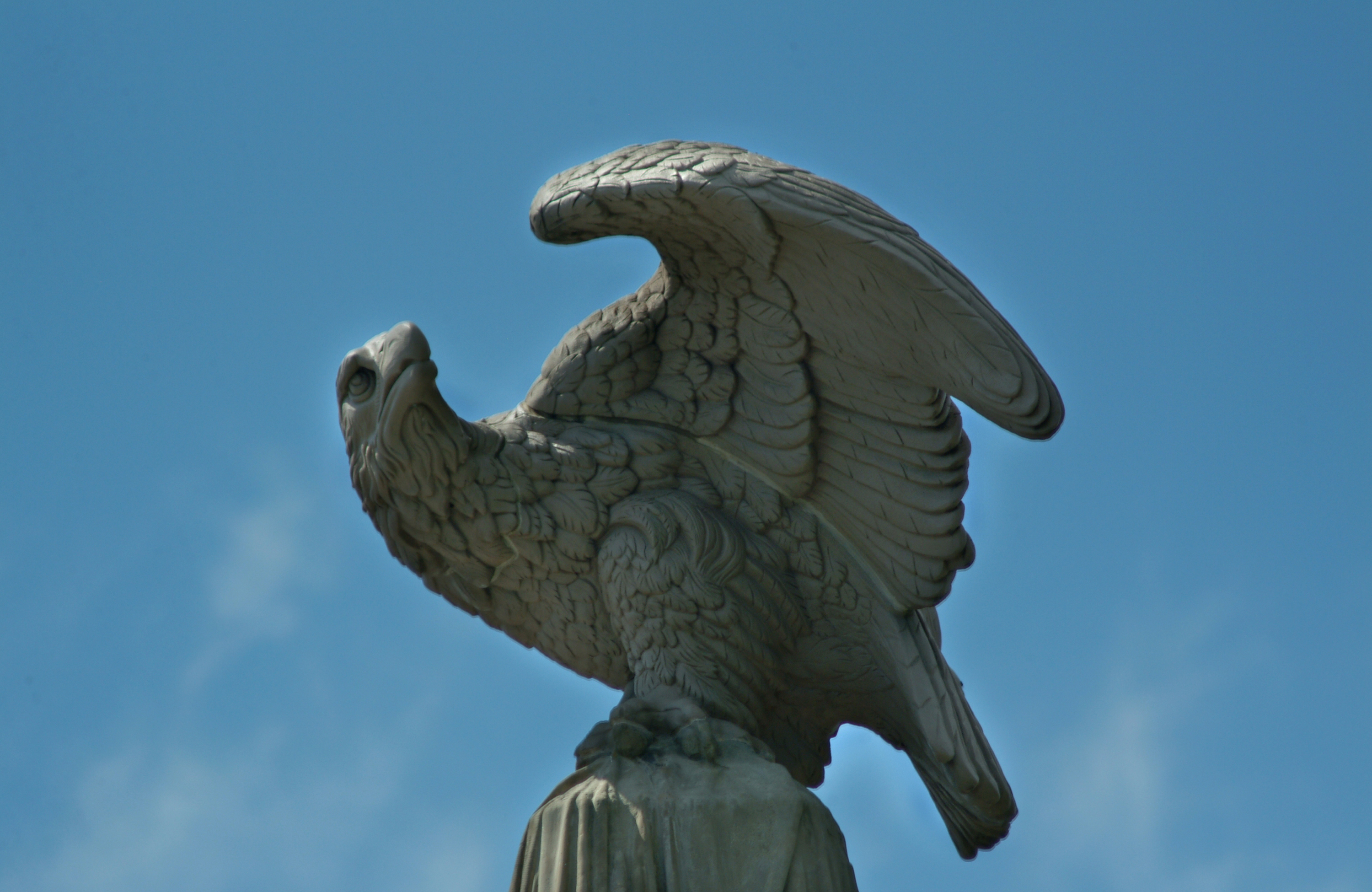eagle on civil war monument.jpg