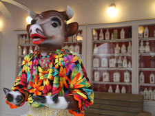 cow wearing colorful top at UpRiver Cafe