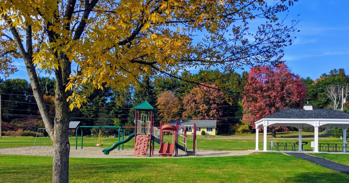 playground and trees in the fall