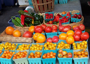 garden vegetables