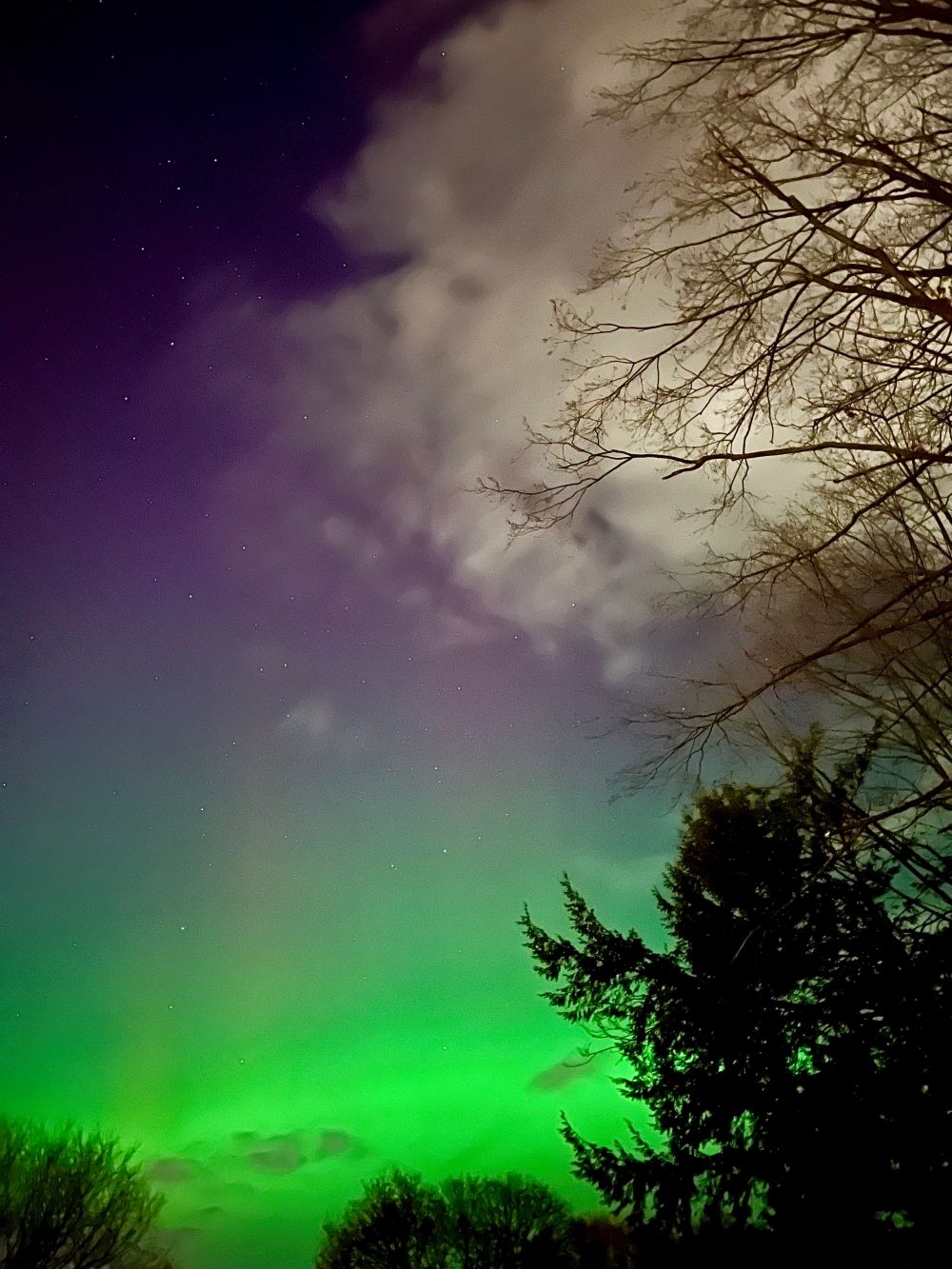 Northern Lights