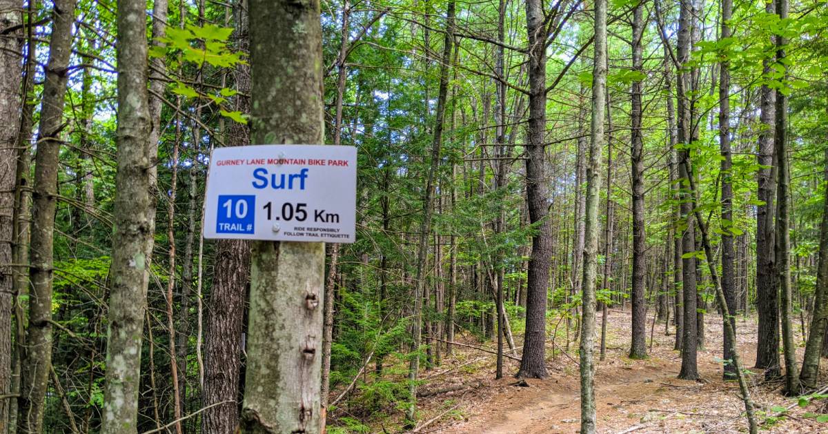 Gurney Lane Bike Park sign on tree