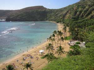 tropical beach