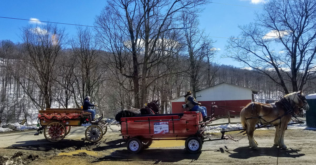 a horse wagon ride