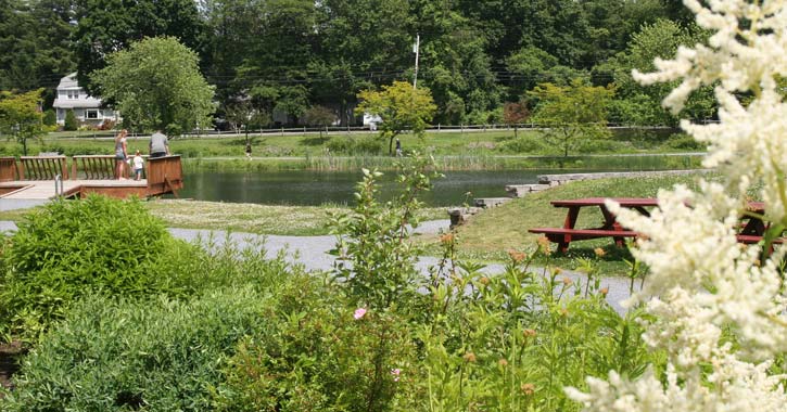 plants and observation deck overlooking hovey pond