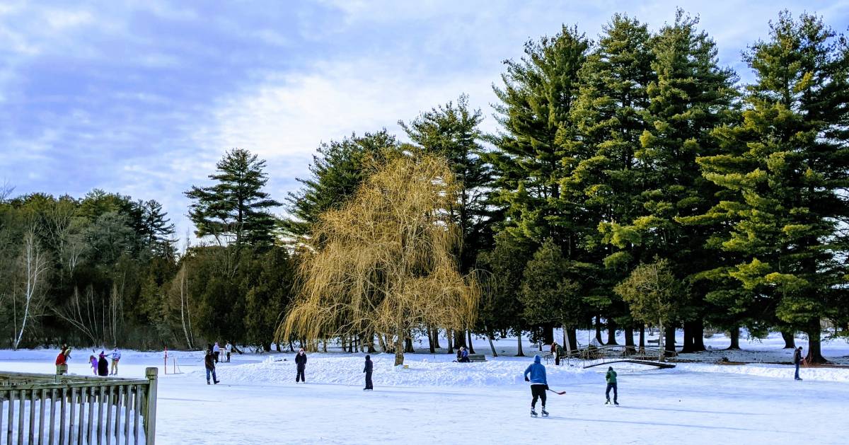 people ice skating on a pond