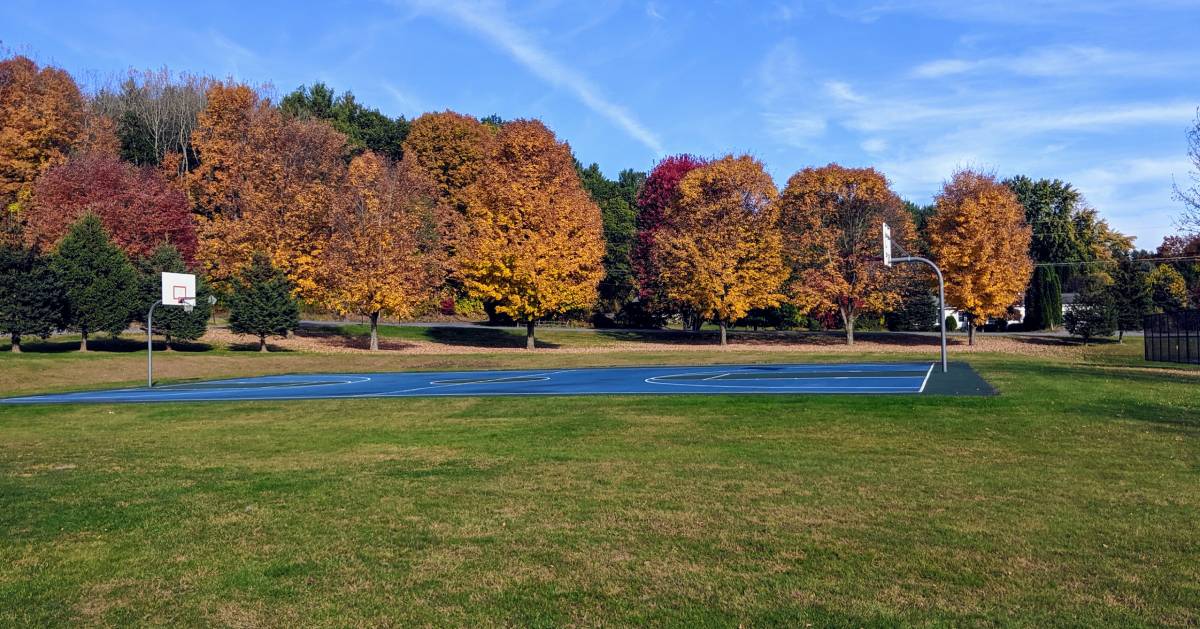 trees with fall foliage and basketball court on field