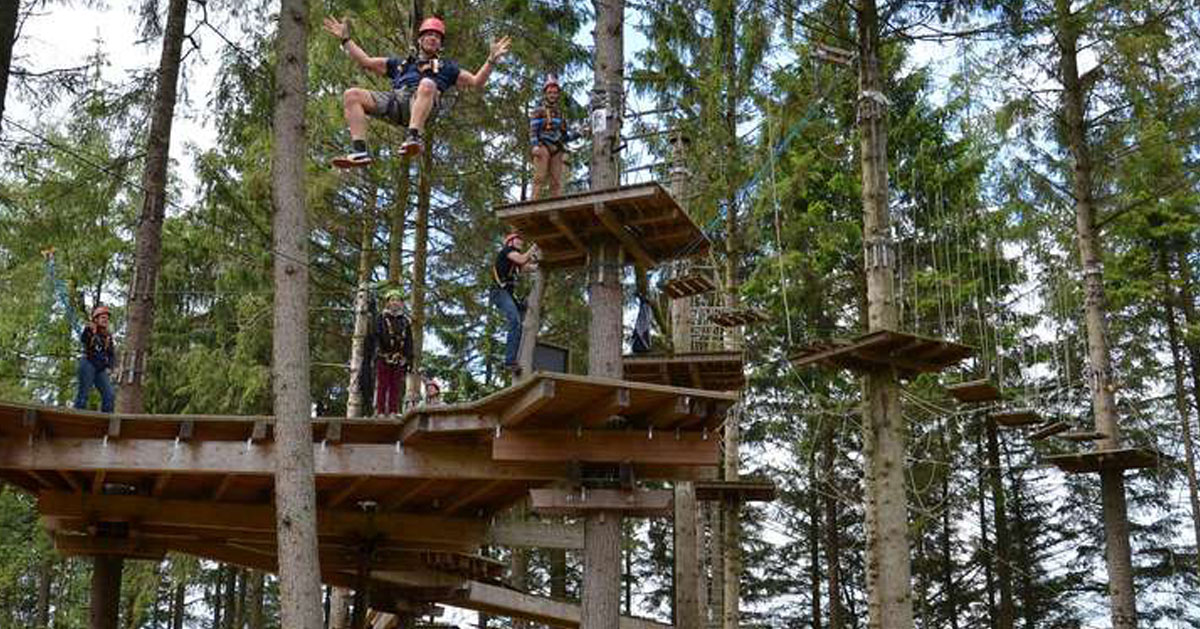 a tree top adventure course