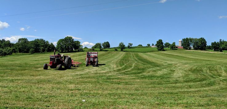 farm in washington county